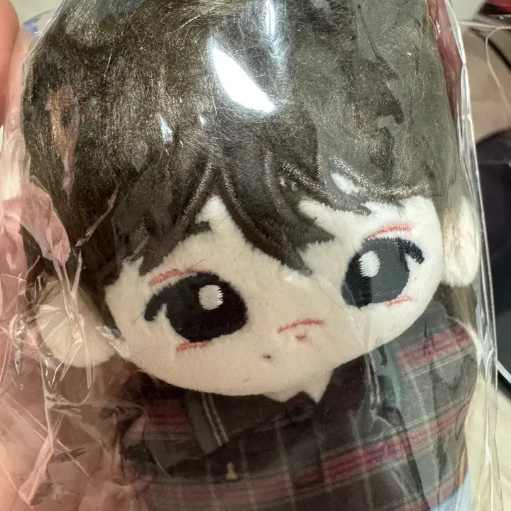 [BUNJANG] Cortis Joohoon Plush Doll / 코르티스 주훈 솜인형