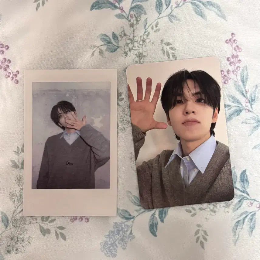 [BUNJANG] DAY6 Wonpil Bundle Set Photocards / 원필 포카 데이식스 일괄판매