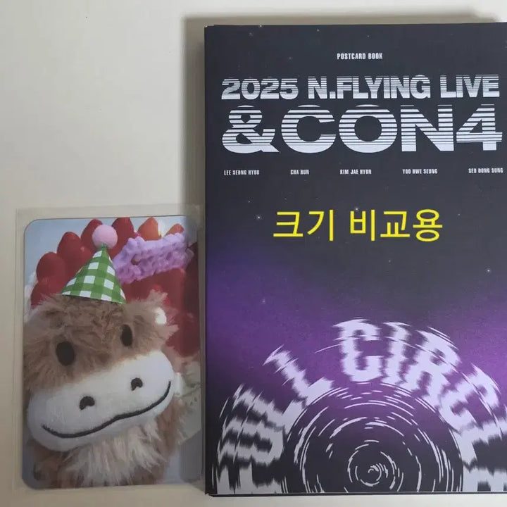 [BUNJANG] N.Flying ENCORE 4th Concert Postcard Set / 엔플라잉 엔콘4 엽서 세트 판매