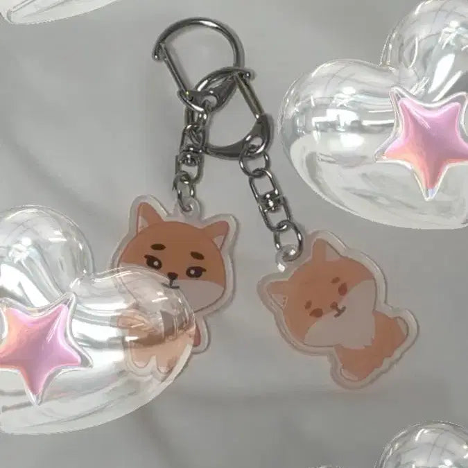 [BUNJANG] Day6 Denny&