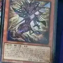 [BUNJANG] Yu-Gi-Oh! Super Rare Dark Magician the Dragon Knight / 유희왕 초마검사 블랙카오스 (슈레)