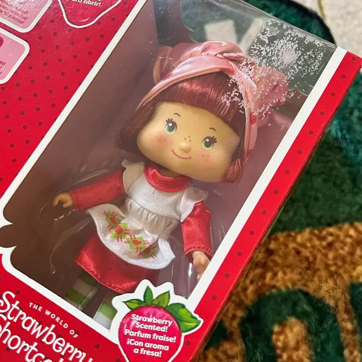 [BUNJANG] Strawberry Shortcake Doll Vintage Toy / 고전문구 스트로베리 쇼트케이크 인형 빈티지 인형 올드 토이
