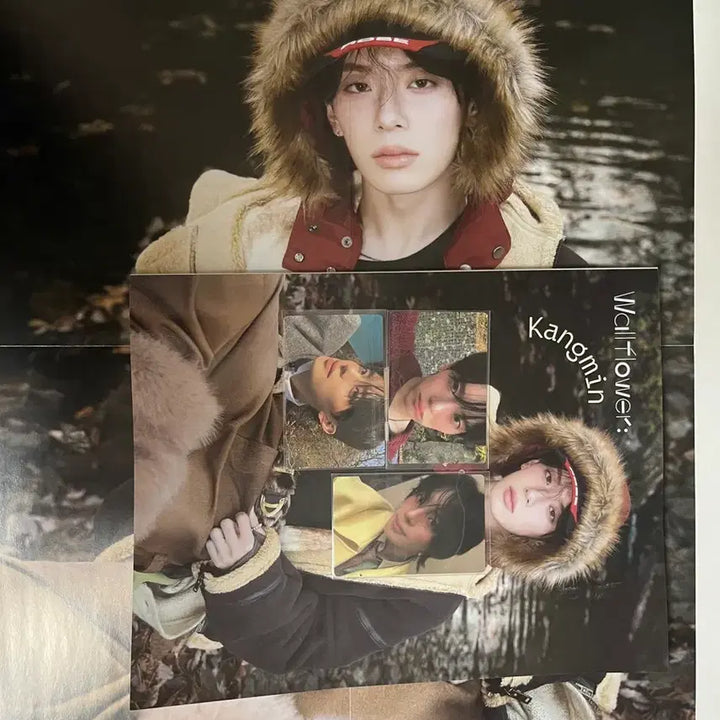 [BUNJANG] Wallflower Kangmin Photobook + Photocard Set / Wallflower: kangmin+포스터+포카