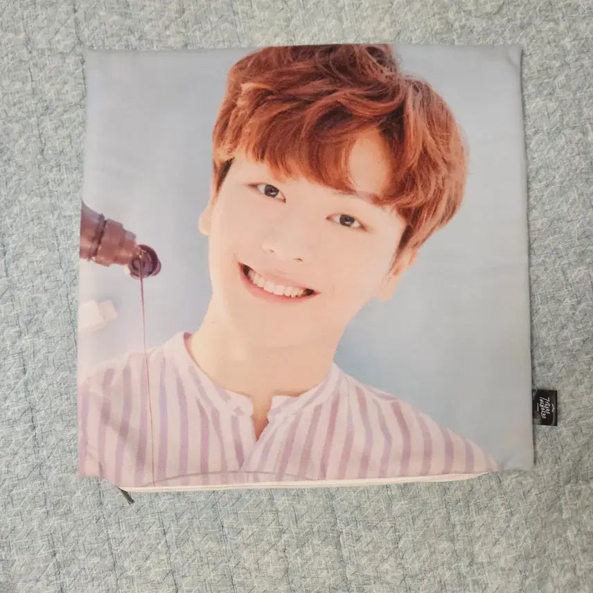 [BUNJANG] BTOB 7th Anniversary Yook Sung Jae Cushion (Official Goods) / 비투비 7주년 기념 육성재 쿠션 공식굿즈