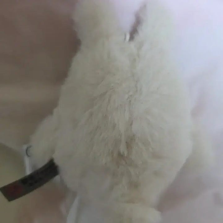 [BUNJANG] Zenless Zone Zero ZZZ Banbu Doll Keychain White / 젠레스 존 제로 ZZZ 방부 인형 키링 화이트