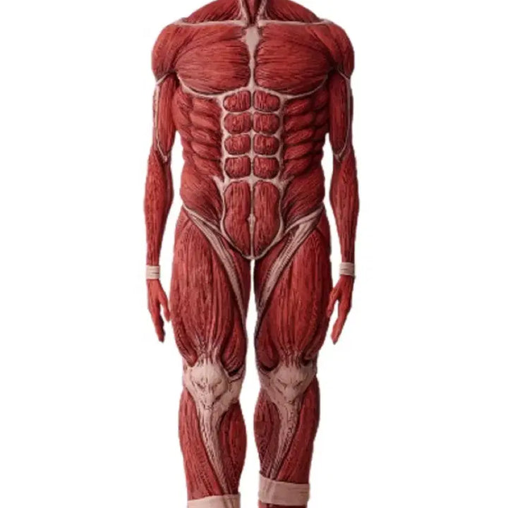 [BUNJANG] Attack on Titan Colossal Titan Last One Prize Figure (Sealed) / 진격의거인 초대형거인 라스트원상 미개봉 판매
