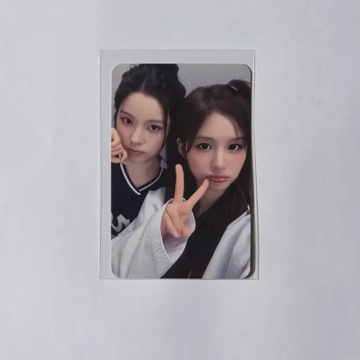 [BUNJANG] NMIXX Sullyoon Jinni "Expergo" Photocard + Serenade Album Set / NMIXX/설윤 규진/포카+세레나데1종 양도