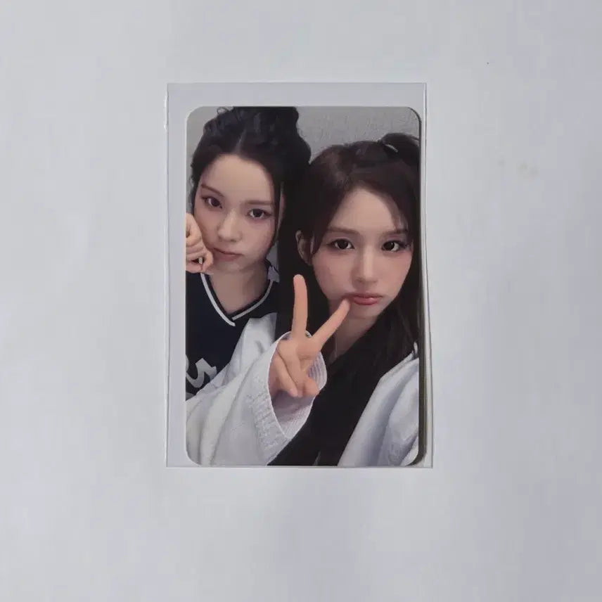 [BUNJANG] NMIXX Sullyoon Jinni "Expergo" Photocard + Serenade Album Set / NMIXX/설윤 규진/포카+세레나데1종 양도