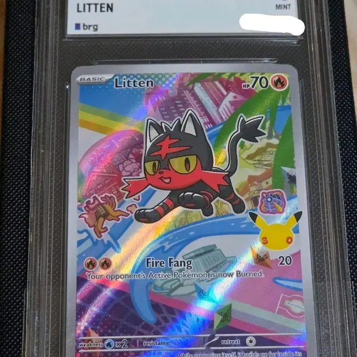 [BUNJANG] Pokemon Card 9 Graded Mint / 포켓몬 카드 리텐 9등급 민트