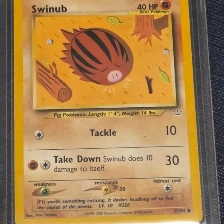[BUNJANG] Pokemon Card Swinburn 