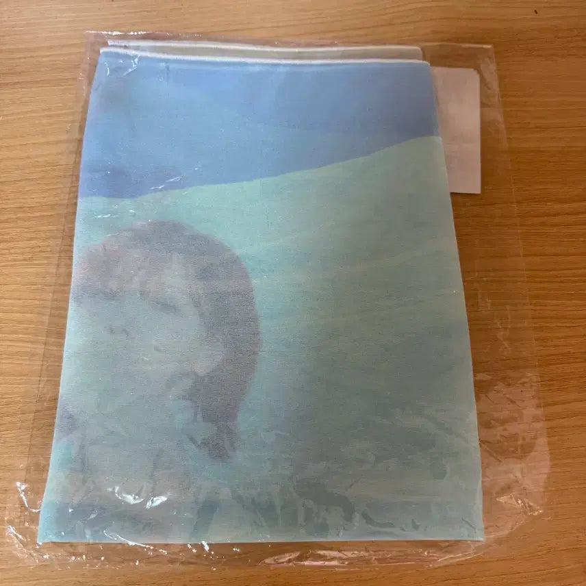 [BUNJANG] Red Velvet Wendy W:ealive Concert MD Fabric Poster (Sealed) / 레드벨벳 웬디 wealive 콘서트 엠디 패브릭포스터 미개봉 양도 위얼라이브