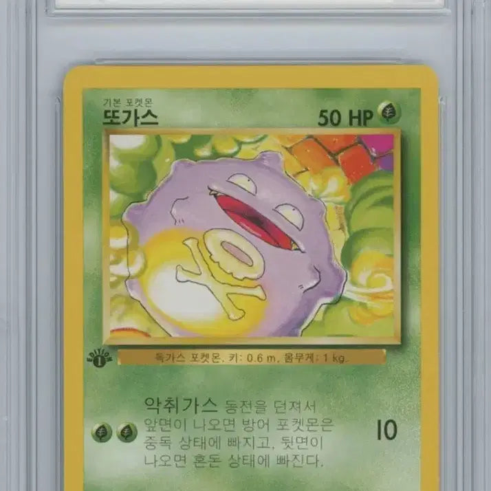 [BUNJANG] Pokemon 1st Edition Haunter Graded Card / (brg 9) 포켓몬 1st edition 초판 또가스 등급카드