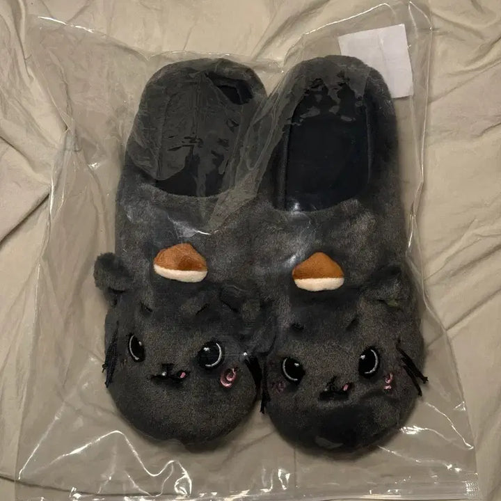 [BUNJANG] NCT WISH Bubble Nyan Kuri Slippers Odd to Love Pop-up Yuushi Riku POB Photocard Split Set / 엔시티위시 버블냥 쿠리 룸슈즈 오드투러브오투럽팝업 유우시리쿠 탈덕처분 요이동보밋걸미공포포카분철양도