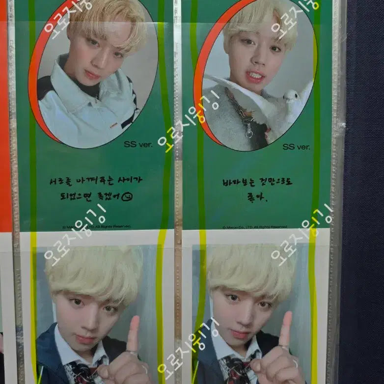 [BUNJANG] Park Ji Hoon 1st Album SS Ver. / 박지훈 1집 앨범 SS ver.