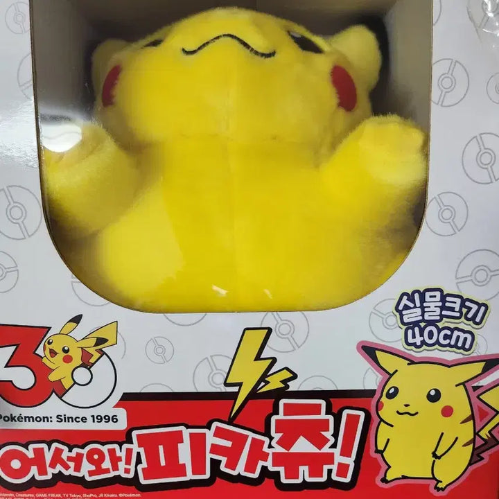 [BUNJANG] Pokemon Pikachu Sealed / 포켓몬스터 어서와 피카츄 미개봉 판매