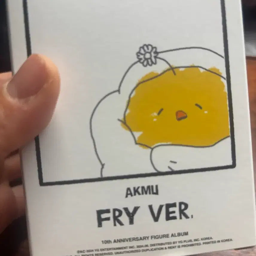 [BUNJANG] AKMU Figure Album PRIVATE Version (Sealed) / 악뮤 피규어 앨범 프라이버전 팝니다 내용물 미개봉