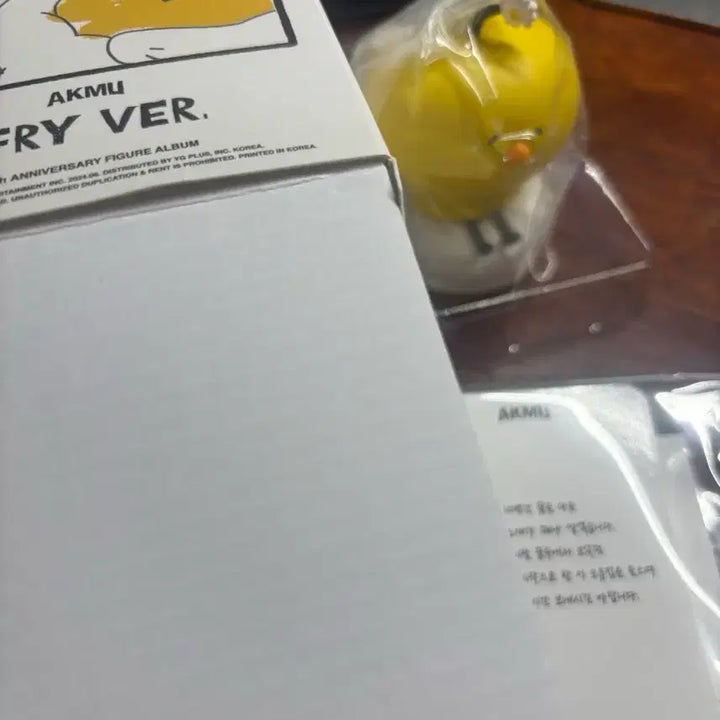 [BUNJANG] AKMU Figure Album PRIVATE Version (Sealed) / 악뮤 피규어 앨범 프라이버전 팝니다 내용물 미개봉