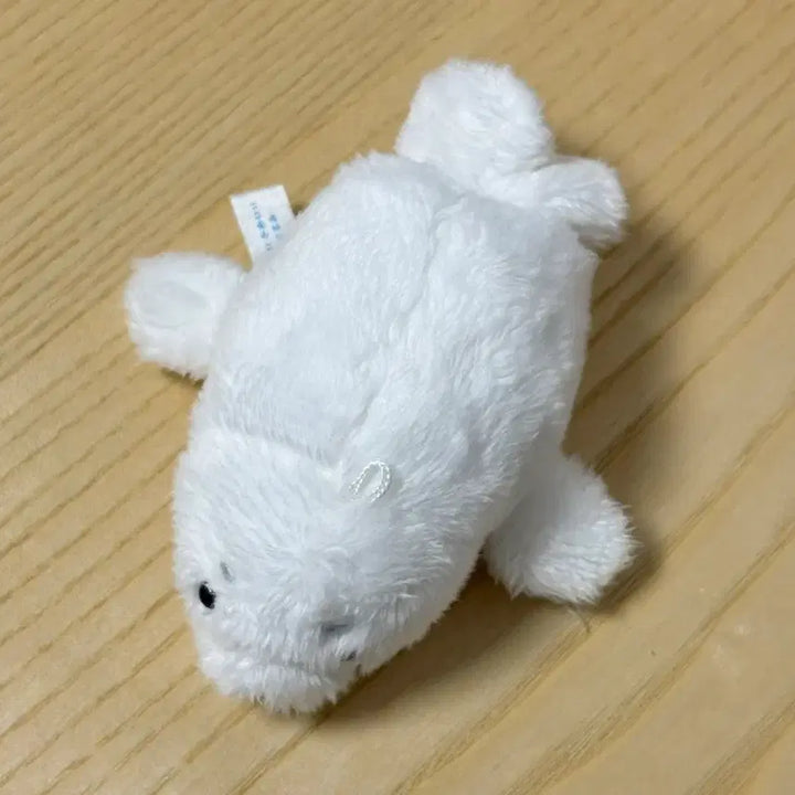 [BUNJANG] Seal Plush Toy / 바다표범 ? 하프물범 인형