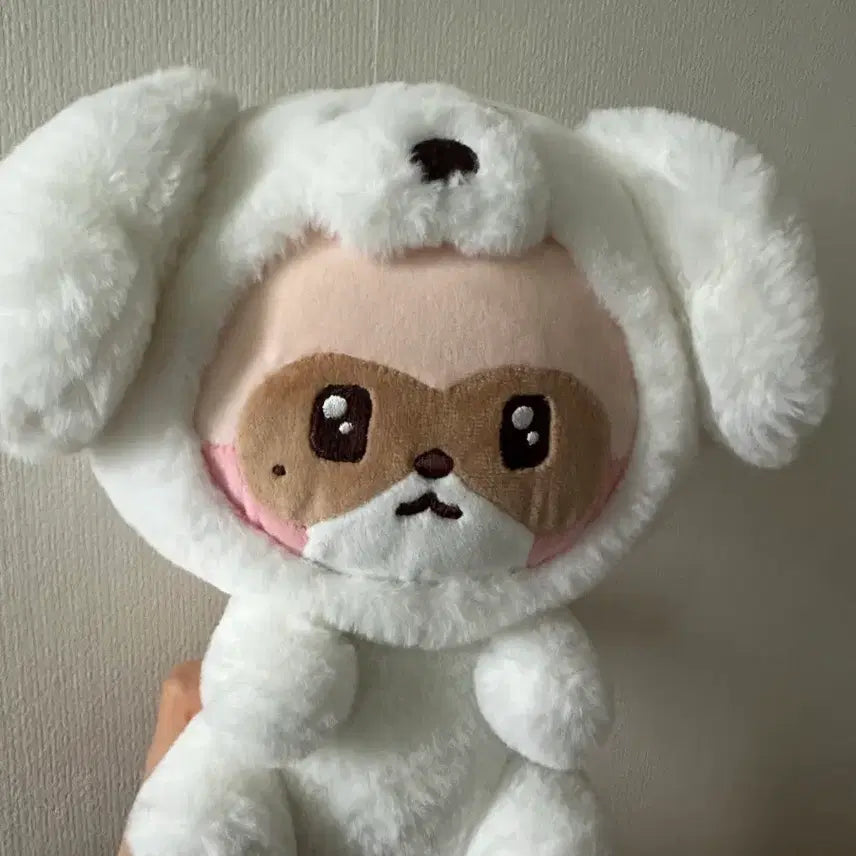 [BUNJANG] Wonderland Hanni Doll / 원더랜드 하니니 인형
