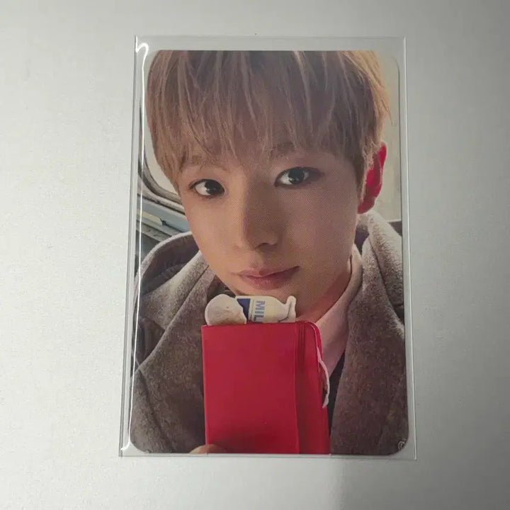 [BUNJANG] NCT WISH Wishlist Yushi Photocard / 엔시티위시 위시리스트 위시포트 유우시 포카 포토카드