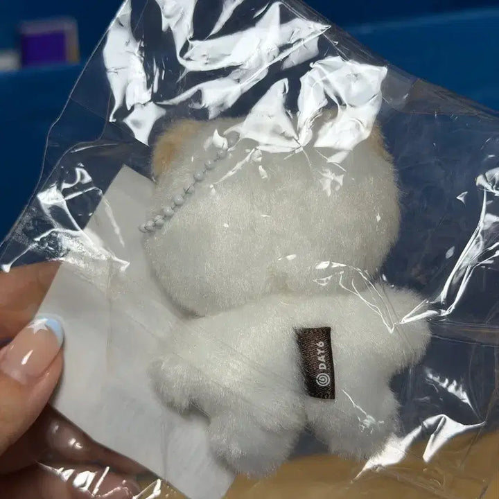 [BUNJANG] Day6 Daynimalz Ddenimals Ppopmul Doll / 데이식스 쁘쁘멀 돈 데니멀즈 원가 양도