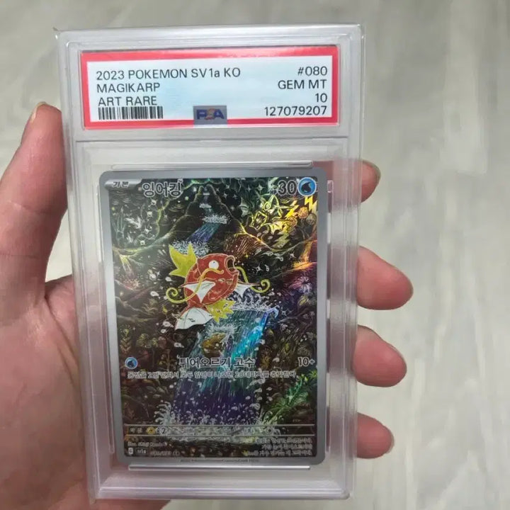 [BUNJANG] Pokemon Card Magikarp Shinji Kanda PSA 10 / 포켓몬카드 잉어킹 신지칸다 psa10