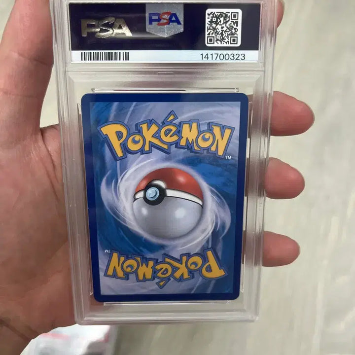 [BUNJANG] Pokemon Card Groudon Illustration PSA 10 / 포켓몬카드 신지카다 일러스트 두빅굴 psa10