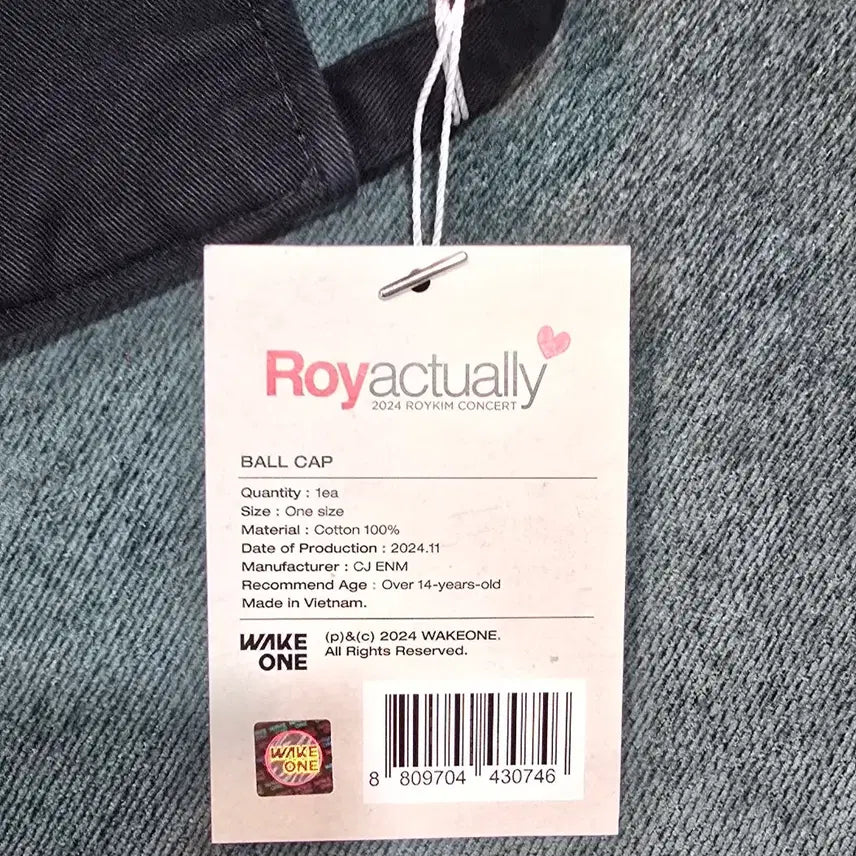 [BUNJANG] Roy Kim Roy Actually Concert Ball Cap / 로이킴 로이액츄얼리 콘서트 볼캡