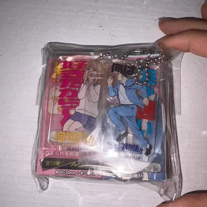 [BUNJANG] Cute Japanese Acrylic Keyring Set / 귀여운 일본 키링 굿즈