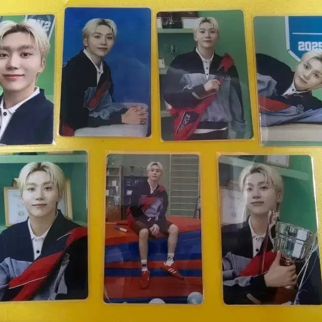 [BUNJANG] Seventeen 2025 Caratland SeungKwan Trading Card Bundle Set / 2025 세븐틴 캐럿랜드 트레카 승관 드볼세트