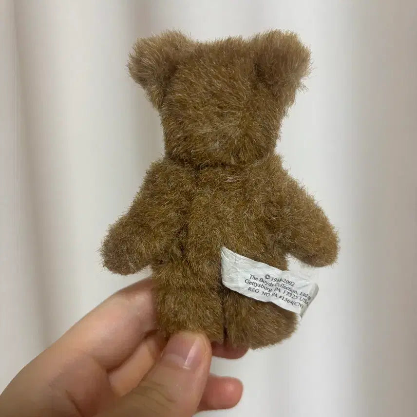 [BUNJANG] Boyds Bears Chokomi / 보이즈베어 쪼꼬미