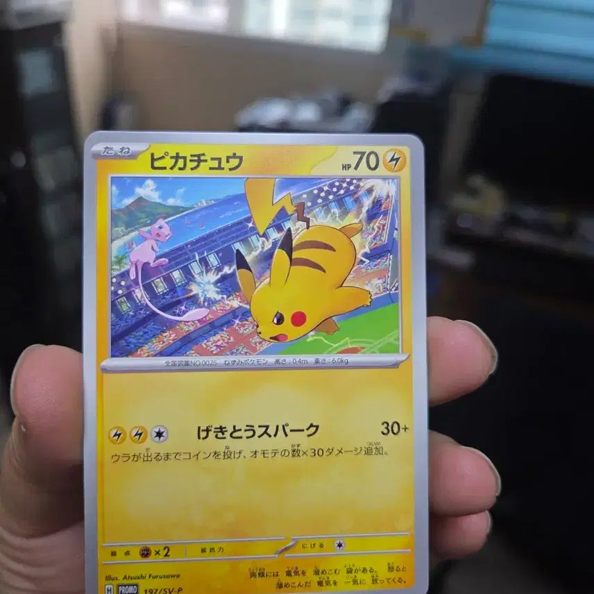 [BUNJANG] Pokemon Card Pikachu Gym Promo / 포켓몬카드 판매합니다.(24년 일판 피카츄 짐 프로모)