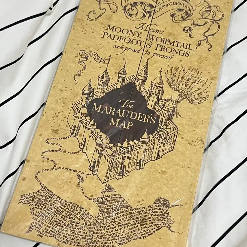 [BUNJANG] Harry Potter Marauder&