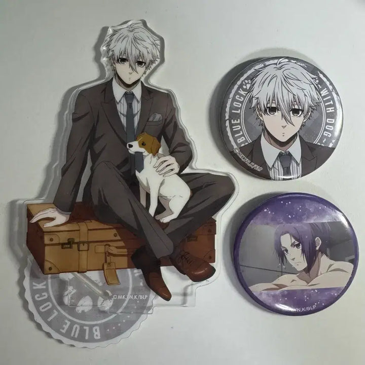 [BUNJANG] Blue Lock Nagi Acrylic Stand &amp; Button Badge Set / 덤개많음)블루록 나기 아크릴+캔뱃지