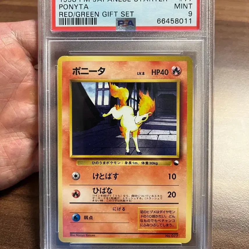 [BUNJANG] 1998 Vintage Pokemon Card Ponyta Japanese PSA 9 / 1998년 빈티지포켓몬 카드 일판 PSA9