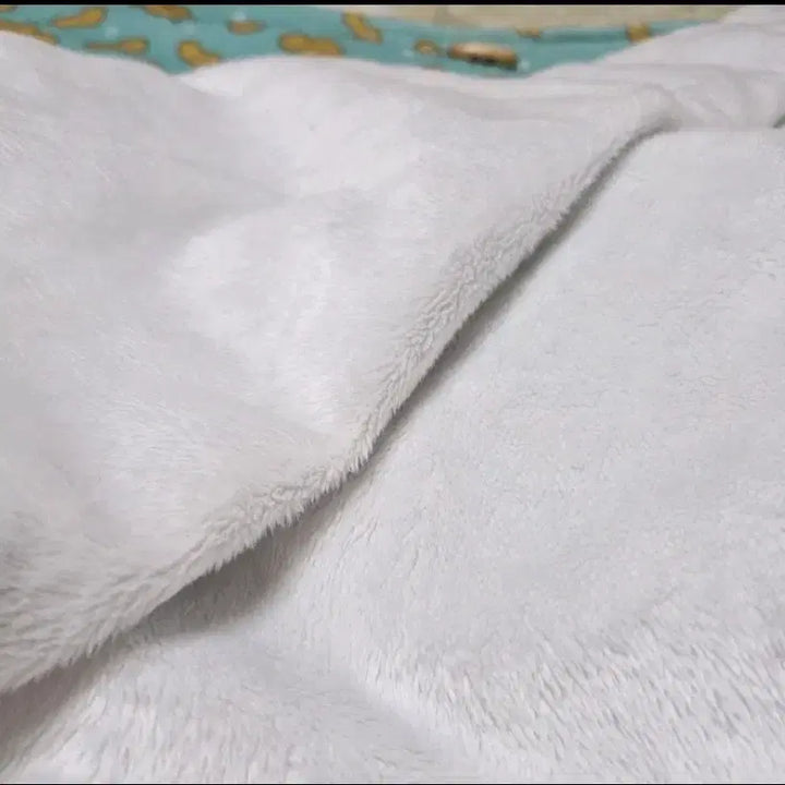 [BUNJANG] Spy x Family Official Goods Blanket / 스파이패밀리 공식 굿즈 담요