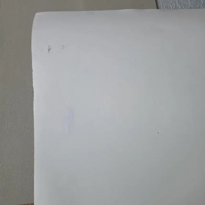 [BUNJANG] BTS Taehyung V Compose Poster / BTS 태형 뷔 컴포즈 포스터