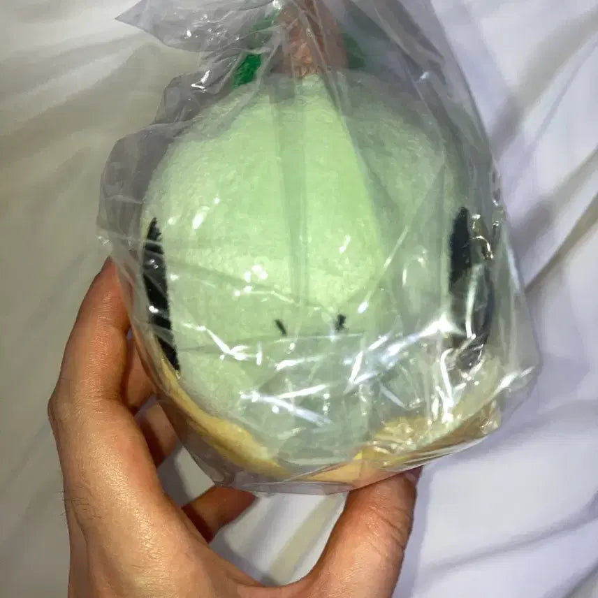 [BUNJANG] Pokemon Dolls Pokemon Mudkip Plush Doll Mascot / 포켓몬 돌즈 포켓몬스터 모부기 인형 누이구루미 마스코트