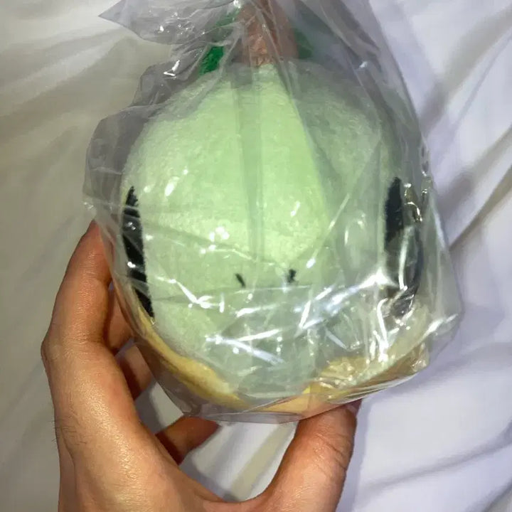 [BUNJANG] Pokemon Dolls Pokemon Mudkip Plush Doll Mascot / 포켓몬 돌즈 포켓몬스터 모부기 인형 누이구루미 마스코트