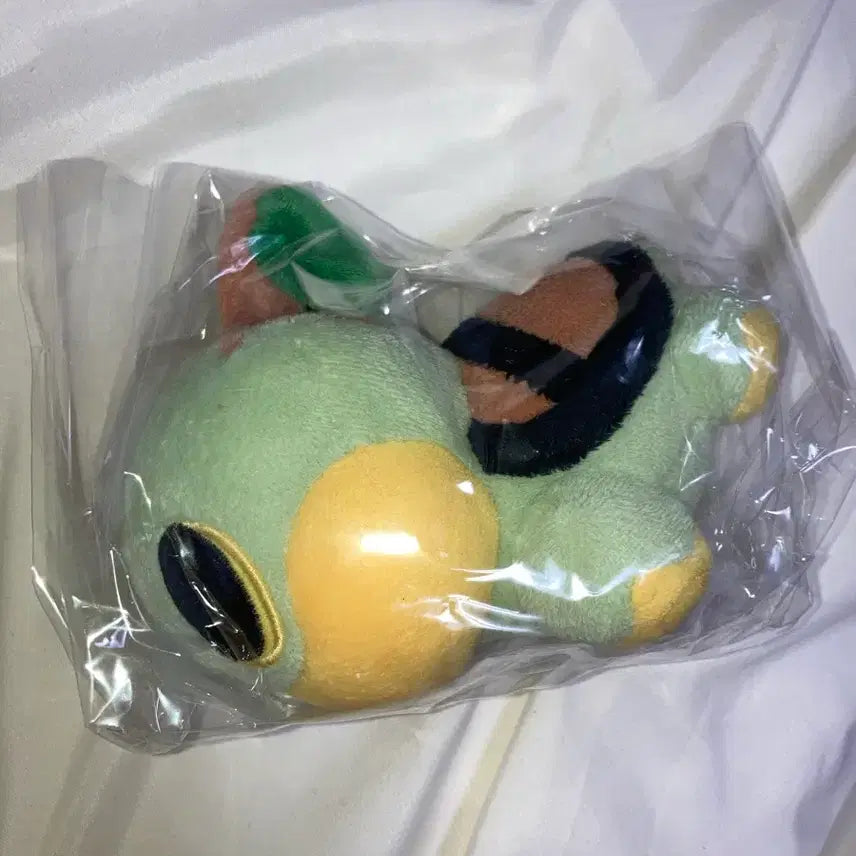 [BUNJANG] Pokemon Dolls Pokemon Mudkip Plush Doll Mascot / 포켓몬 돌즈 포켓몬스터 모부기 인형 누이구루미 마스코트