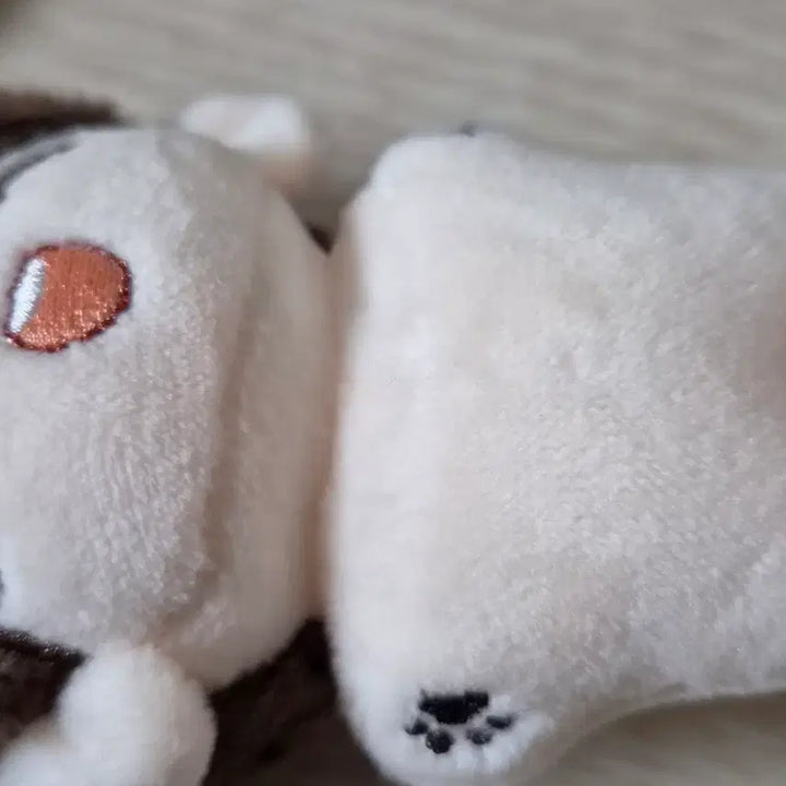 [BUNJANG] Demutj Tiny Keunse 5cm / 데못죽 타이니 큰세 5cm
