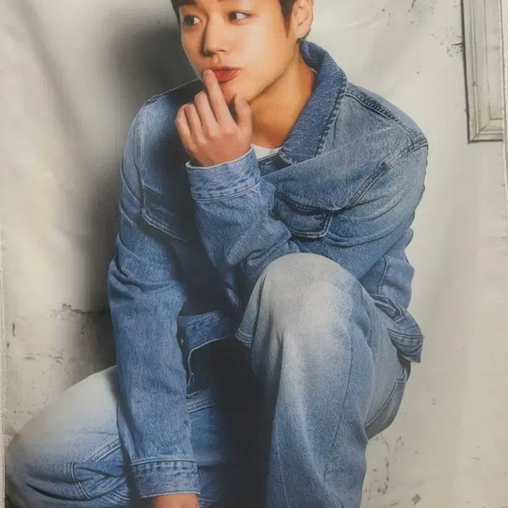 [BUNJANG] Park Ji Hoon Gi-yeong Fabric Poster Cheong-cheong / 박지훈 기영이 패브릭포스터 청청