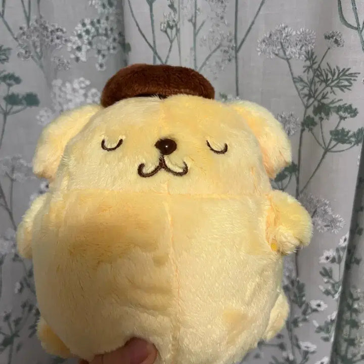 [BUNJANG] Pompompurin Sleeping Plush Doll / 쿨쿨 폼폼푸린 누이인형