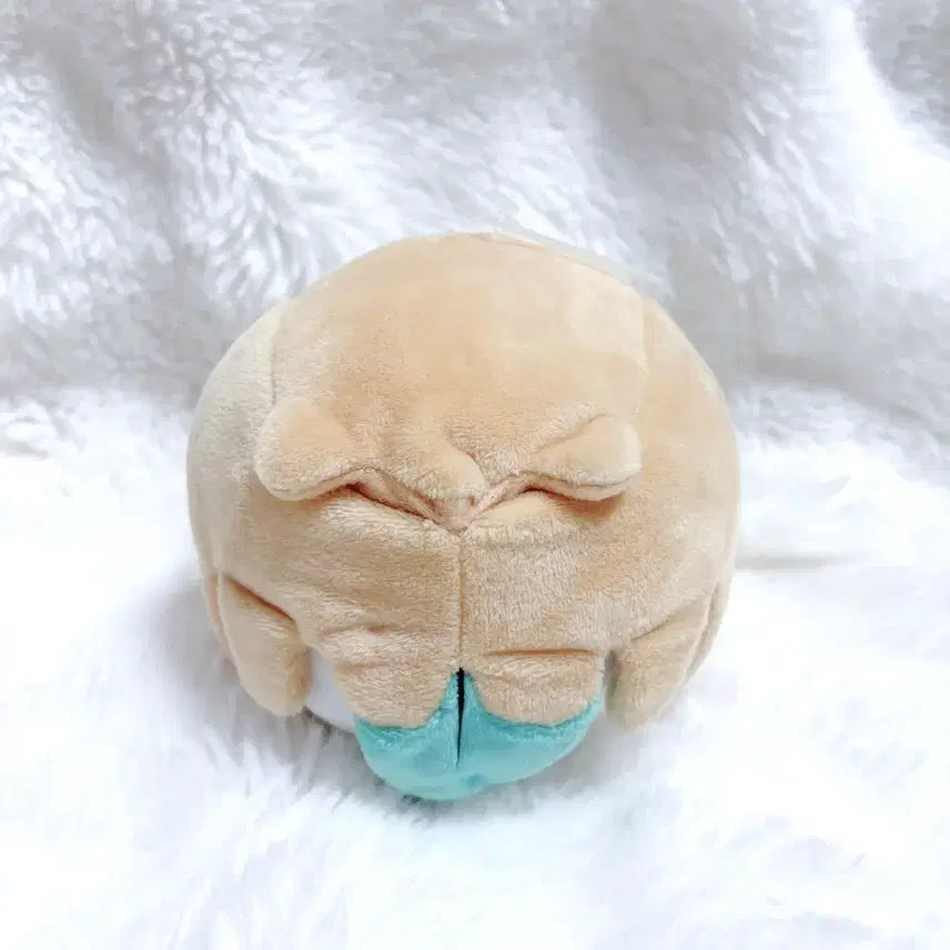 [BUNJANG] Pokemon Rowlet Plush / 포켓몬 포켓몬센터 나몰빼미 인형