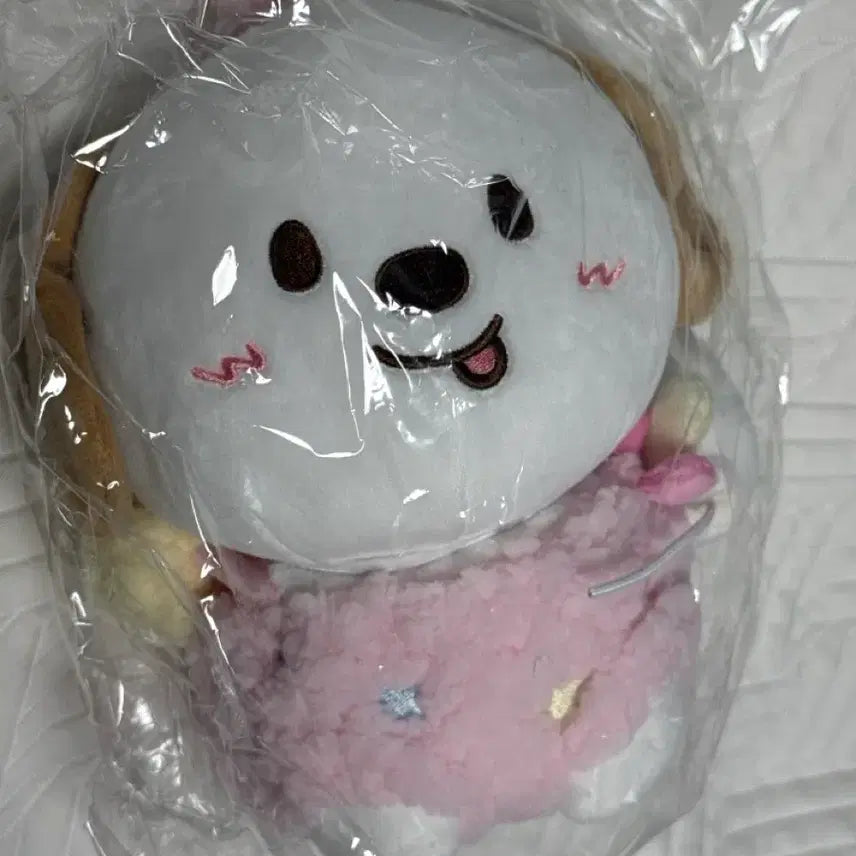 [BUNJANG] RIIZE Park Anton 20cm Doll (Sealed) / 라이즈 파크 앤톤 20cm 미개봉 양도