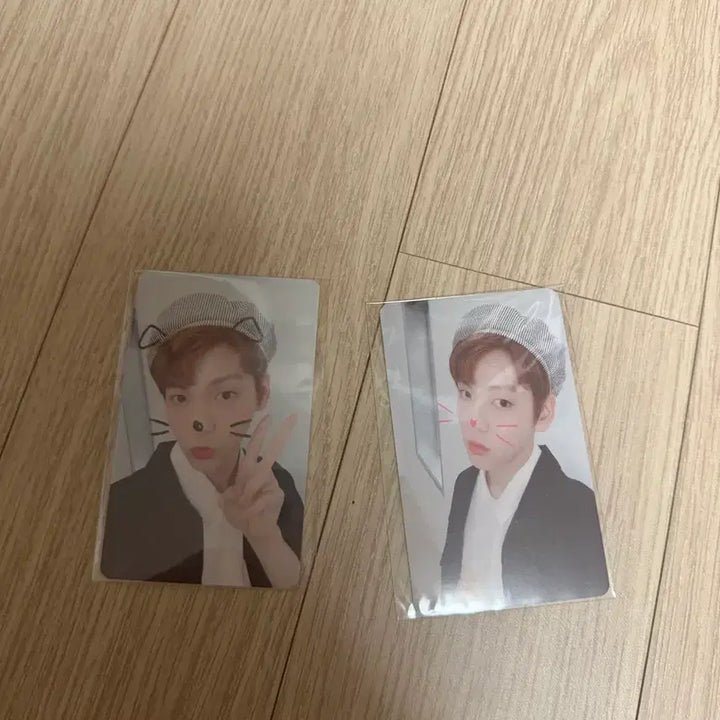 [BUNJANG] TXT Soobin Cat &amp; Dog Studio Photocard Bundle Set / 투바투 수빈 캣앤독 공방포카 양도 투모로우바이투게더 연준 범규 태연 휴닝카이