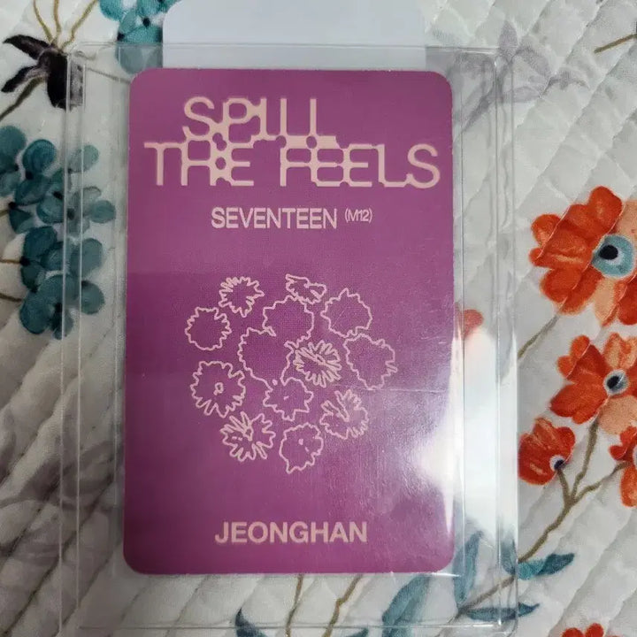 [BUNJANG] SEVENTEEN Jeonghan Studio Live Photocard / 세븐틴 정한 공방포카