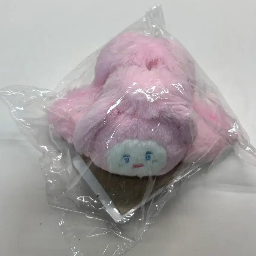 [BUNJANG] Onew Jjingnyangi Pincard Photocard / 온유 찡냥이 집게핀 포카포함
