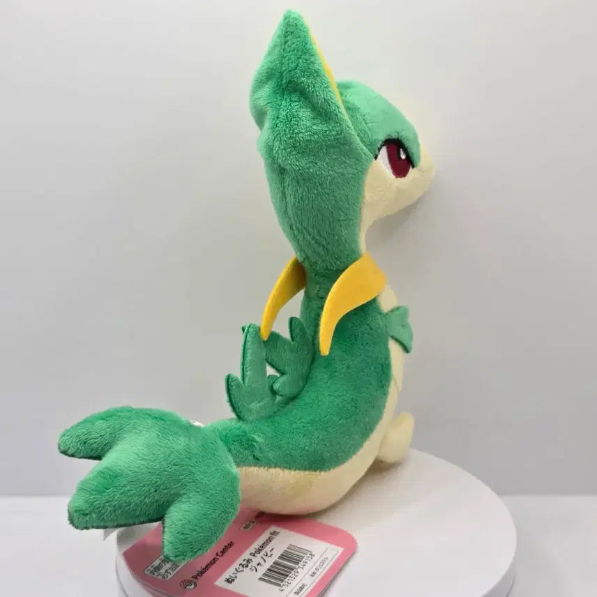 [BUNJANG] Pokemon Squirtle Fit Doll / 포켓몬스터 샤비 fit / 핏 인형 판매합니다