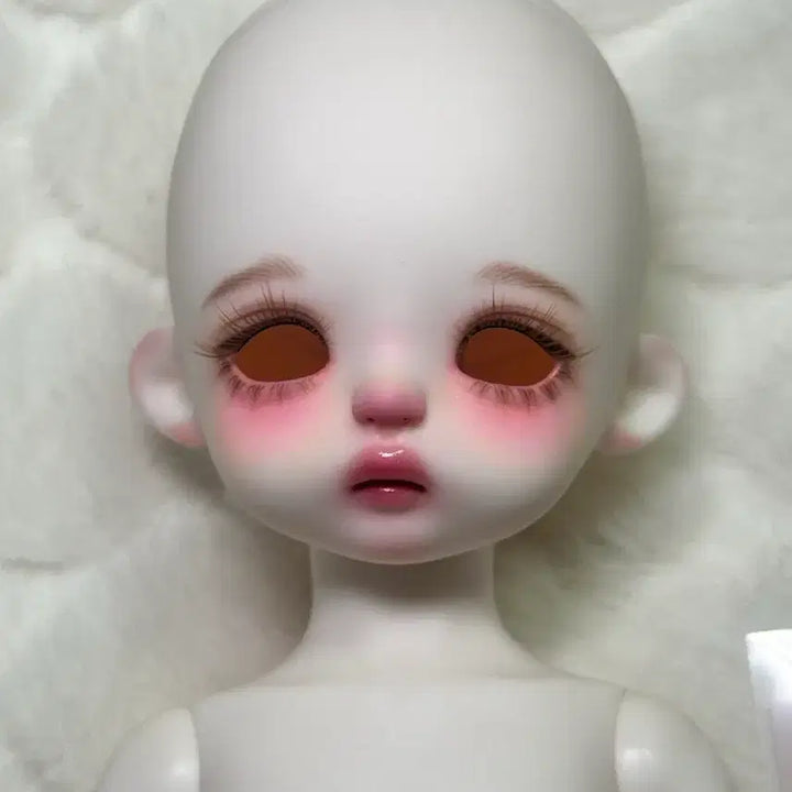 [BUNJANG] Fluffyche 26 Body Dodam 2025 Version Doll / 플러피치 26바디 도담 25년분 양도합니다
